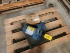 Neptune Chemical Pump