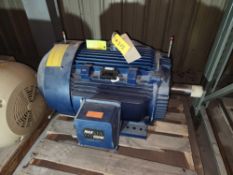 Marathon Motor