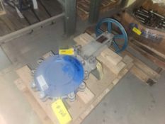 DeZurik SS Guillotine Valve