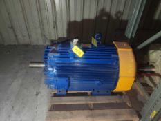 Marathon Motor