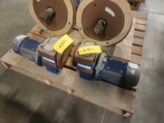 WEG Crane Motors