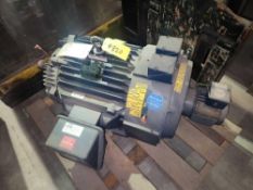Marathon Motor