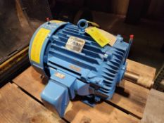 Marathon Motor