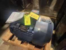 Marathon Motor Motor