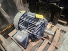 Marathon Motor Motor