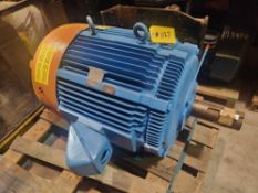 Westinghouse Motor Ouse Motor