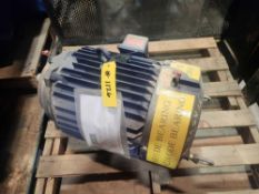 Marathon Motor Motor