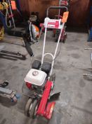 Little Wonder Walk Behind Edger