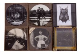 A Large Selection of Magic Lantern Slides