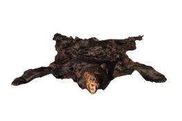 A NORTH AMERICAN BLACK BEAR SKIN TAXIDERMY RUG (URUS AMERICANUS)