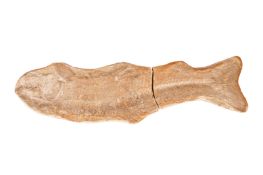 A FOSSILISED FISH IMPRINT IN SANDSTONE