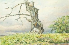 Walter Fryer Stocks (1842-1915)