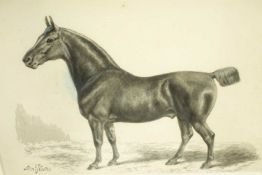 Samuel John Carter (1835-1892)