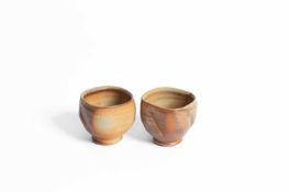 Lisa Hammond (born 1956)