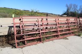 12, 14, and 16 Ft. Linns Gates