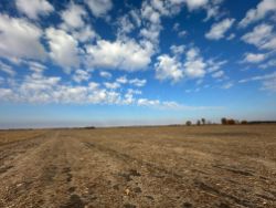 DR JPS SODAK, LLC- +/-71.90 Acres of Productive Spring Lake Twp., Hanson County, SD Land