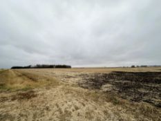 +/-34.64 Acres of Choice High Percentage Tillable Pattern Tiled Sweet Twp., Pipestone Co., MN Land