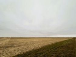 Kennedy – +/-159.40 Acres of Choice Springwater Twp., Rock County, MN Land