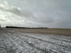 FUNKE - +/- 72.77 Acre Edison Twp., Minnehaha Co. SD Land Auction