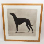 HELEN FAY (British Contemporary) - Greyhound, limited edition etching