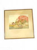 Maung Saya Saung (Burmese 1898-1952), Red tree by