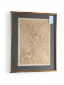 Jan Sweeney, studies of a cat, artists proof, signed in pencil