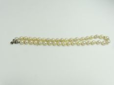 A row of cultured baroque shaped pearls, to a base