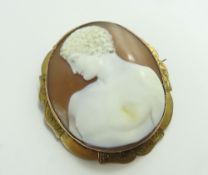 A 19th century brown and white shell cameo brooch,