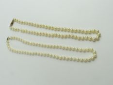 A row of uniform cultured pearls with a box type c