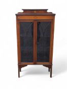 A 20th-century mahogany display cabinet with two fixed sh