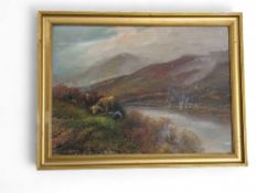 An oil on board - Highland cattle grazing near a l