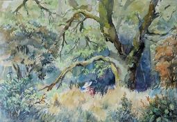 Cynthia Bezance (20th century) Watercolour 