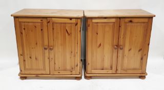 Pine two-door storage cupboard opening to reveal an adjustable shelf, raised on bun feet and a