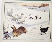 Eileen Alice Soper (1905 - 1990) (Enid Blyton)  complete Set of Sixty Educational / Classroom  