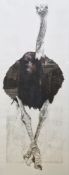 Sue Brown Black and white colour print “Heads Up!”, study of an ostrich, signed in pencil and