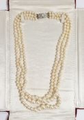 Triple string of graduated cultured pearls with white 9ct gold and pearl clasp, in Falconer's Hong