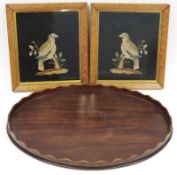 Two framed Victorian needlework tapestry panels of parrots, reserved on a black ground, 23cm x 26.