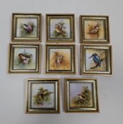 Eight framed Royal Worcester-style porcelain plaques of square section, painted with birds by N