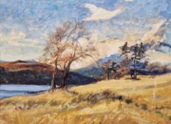 Caroline Sillars (1933-1988) Oil on board 