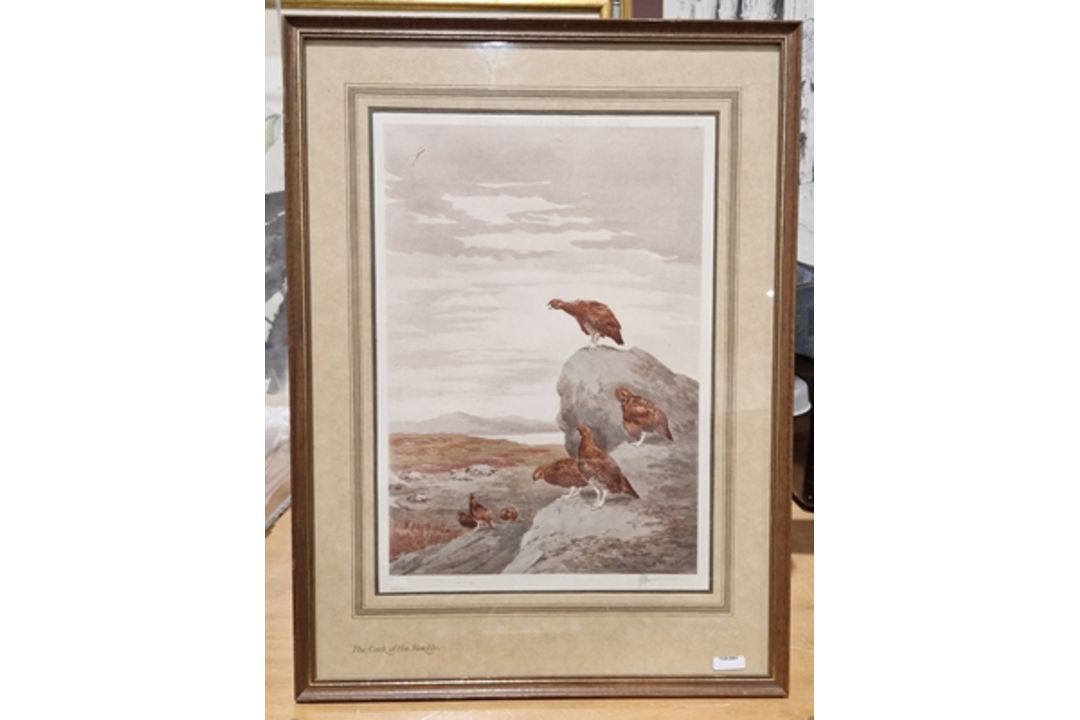 Wendy Osborne The Crescent, Anglesey Villa Pastel, crayon on paper, framed glazed: 27 x 38 cm Signed - Image 3 of 9