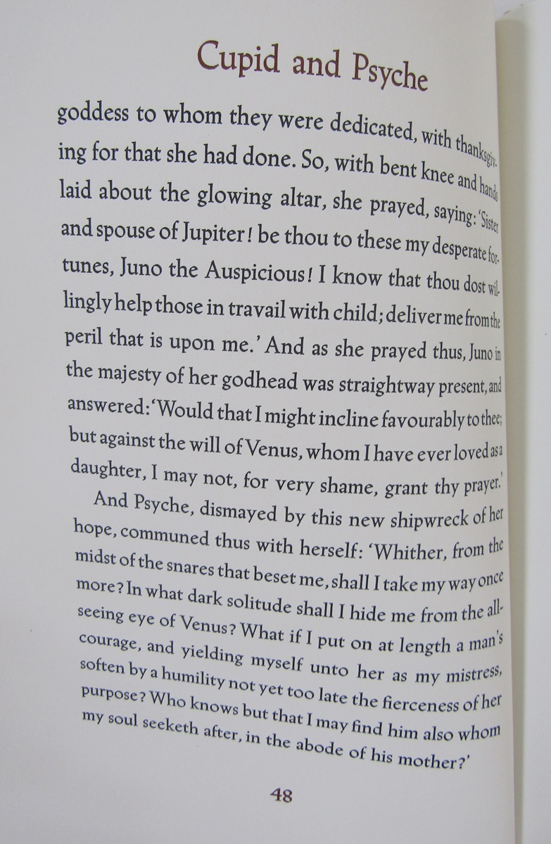 Dulac, Edmund (ills) "Sinbad der Seefahrer - Die Geschichte der Prinzessin von Deryabar" Muller & - Image 31 of 41