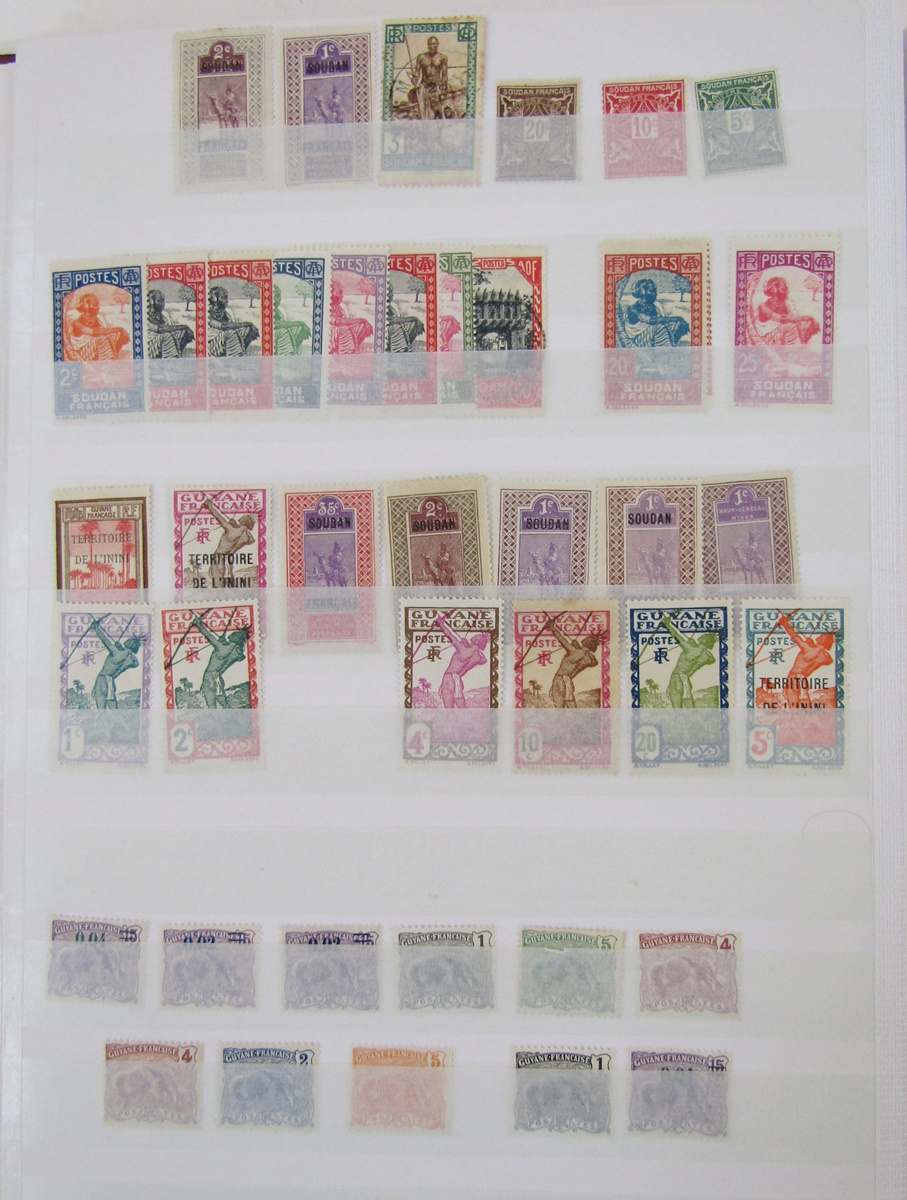 France - Colonial stamps: Mint and used accumulation of various French colonies in large 30 page/ - Image 4 of 18