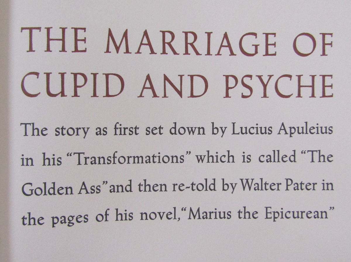 Dulac, Edmund (ills) "Sinbad der Seefahrer - Die Geschichte der Prinzessin von Deryabar" Muller & - Image 26 of 41