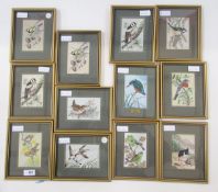 25 Cash's woven pictures of birds