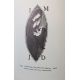 Gill, Eric (ills) "The Engravings of Eric Gill" Christopher Skelton, Wellingborough 1983, col and - Image 14 of 19