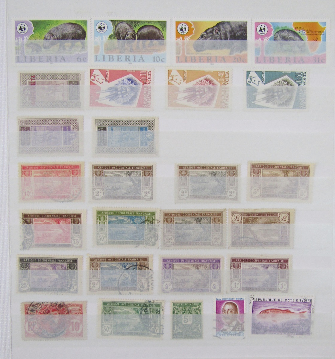 France - Colonial stamps: Mint and used accumulation of various French colonies in large 30 page/ - Image 14 of 18