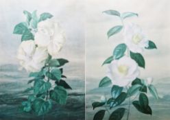 After Paul Osborne Jones (Australian 1921-1997) Offset colour lithograph Two limited edition