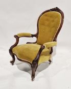 A Victorian rosewood spoonback salon armchair with open scrolling carved frame, buttonback gold