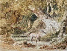 Attributed to Robert Hills (1769-1844) Pencil and watercolour A stag at a forest pool, unsigned,