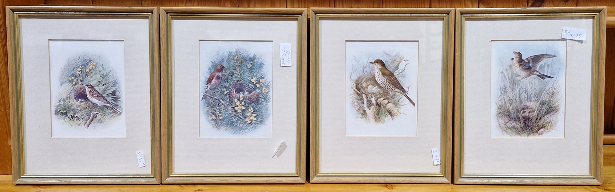 Pair of Andrew Miller Mundy signed limited edition prints of birds of prey 34cm x 25cm together with - Image 4 of 4